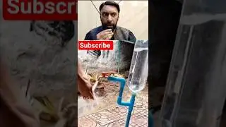 How to Boost Tap Pressure with a Plastic Bottle Genius DIY Hack #shorts