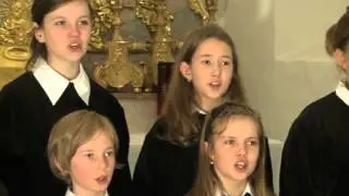 Gotteslobvideo (GL 390): Magnificat, magnificat