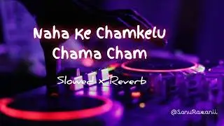 नाहा के चमकेलू चामा चम | Naha Ke Chamkelu Chama Cham Lofi - Slowed & Reverb