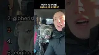 Ranking dogs that sound like they&rsquo;re speaking English 😂🐶 #dogs   #talkingdogs   #funnydogs