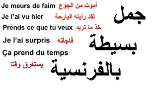 les phrases les plus courantes en français  جمل بسيطة ومفيدة بالفرنسية  في الحياة اليومية