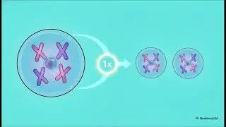 Genetics and reproduction