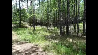 Residential for sale - 0 S Blakeley Oaks Drive, Spanish Fort, AL 36527