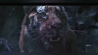 Tiger and Lion Roar   The most badass roar in the movies