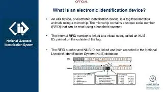Webinar: Livestock agents: Responsibilities for recording movements
