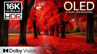 🌿 MOST BEAUTIFUL VIEWS (10 HOURS) | 16K HDR OLED Visual Masterpiece | Dolby Vision (For 4K/8K TV)