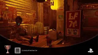 Stray
