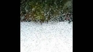Sk [Rain] - Passing Through (2nd Edit)