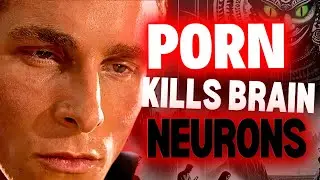 Novelty Needed: How Porn Changes Your Brain