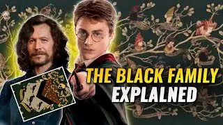 HOUSE BLACK EXPLAINED | Harry Potter Lore