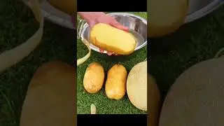 Multifunctional Stainless Steel Kitchen Peeler Fruit Vegetable Potato Carrot Cucumber Grater
