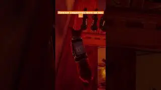 Что интересного в stray? Рассказываю #stray #strayобзор