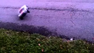 RC Car Jumping Skateboard Ramp 3