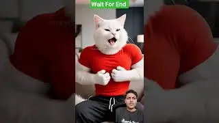 🐱💊💥 Kitten Saves Dad#KittenHero #FamilyTwist #Drama
