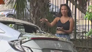 Blighted building collapse goes viral after smashing social media-influencer's car
