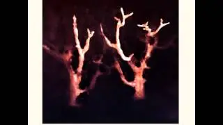 Sol Invictus - Sawney Bean