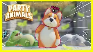 (Pig POV) Party Animals Unleashed | Mishaps #1