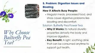 Switch to wellness with Butterfly pea flower Tea #butterfly pea #herbal tea #herbal