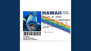 McLovin