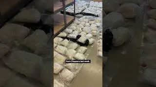 Nearly 900 pounds of meth seized in Minneapolis drug bust