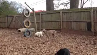 POMH Community Play