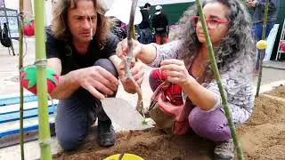 L'hort de les idees. Fem cr&eacute;ixer Matadepera!