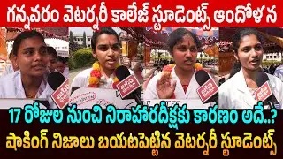 వెటర్నరీ  స్టూడెంట్స్ దీక్ష Gannavaram Veterinary College Students Protest on His Stipend Increase