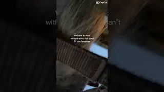 Why some ppl hate on horse rider