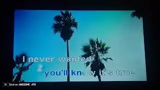 (4385) Crazy For You By Madona Karaoke Vol 8 Platinum Junior Lite