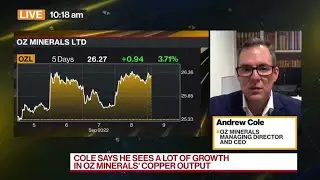 Oz Minerals CEO: Copper, Nickel Demand Growing Strongly