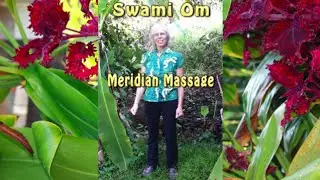 Meridian Massage with Swami's Healing Arts