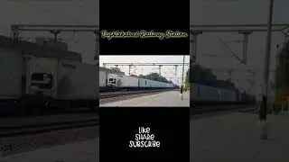 WDG-4, Freight Train