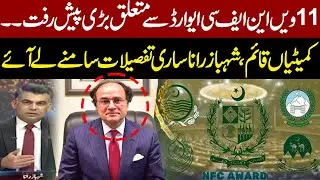 Major Update on 11th NFC Award | Committees Formed & Shahbaz Rana Reveals All Details