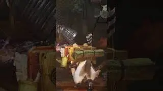 Your Palico Reacts To The Weather In Monster Hunter Wilds
