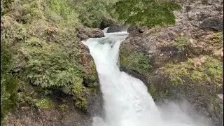 Cascada Los Alerces