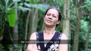 [7.5 minute version] Invasion -  Little Fire Ants in Hawai'i