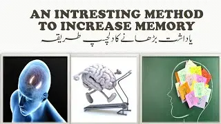 How to memories anything. you can remember things fast with these techniques. (SEA HORSE technique)
