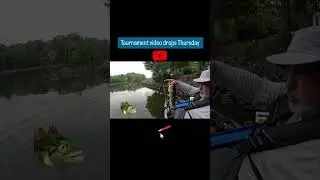 Bass tournament catch! #fishing #bassfishing #basstournament #fishingtechniques #oldtownkayak