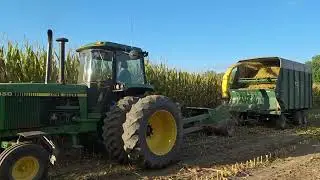 Corn silage 2025