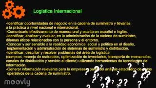 mafer plan de vida y carrera