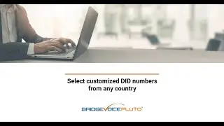 Part 1: Features for Direct Inwards Dialing or DID service.