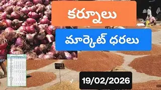 19/02/2026 కర్నూలు మార్కెట్ ధరలు today kurnool market rates prices redgram onion mirchi kandulu maiz