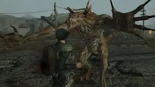 The Fallout: New Vegas 