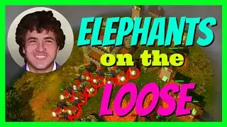 Elephant Rampage | War Selection - India