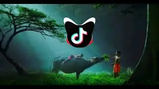 DJ Gadis Kota Remix - Tone