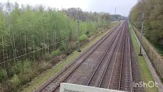 Mat'64 904 de apekop in onnen