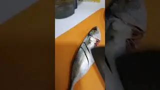 cutting fish!!! #asmr #satisfying #food #fish #cutting