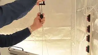 LED Quantum Board Grow Light Test