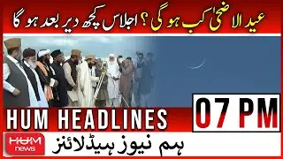 HUM News Headlines 07 PM - 29 June 2022 | Shah Mehmood Qureshi | Moon Sighting | Petrol Price Hike