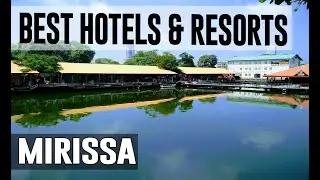 Best Hotels and Resorts in Mirissa, Sri Lanka
